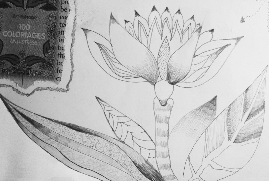 Drawing4LeafFlower