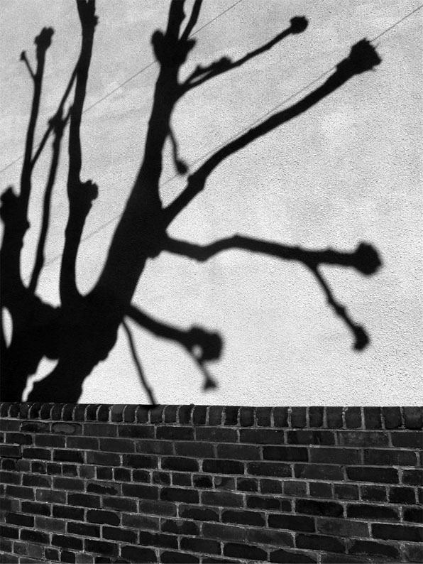 ShadowsOnAwall_edited-1