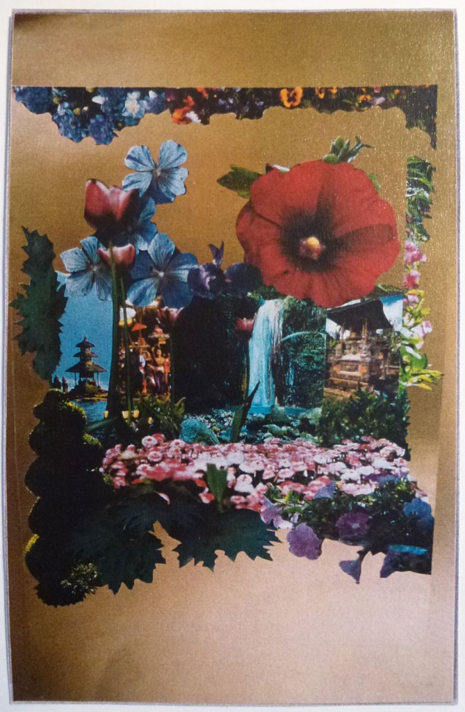 Waterfall collage*