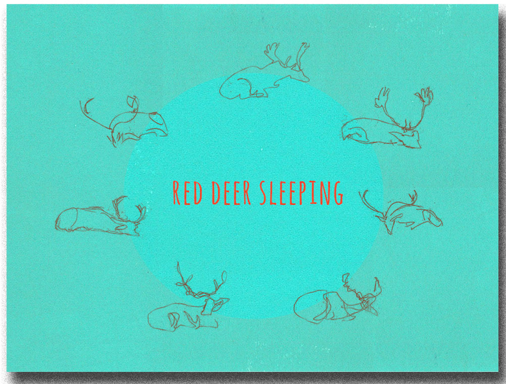 RedDeerSleeping copy