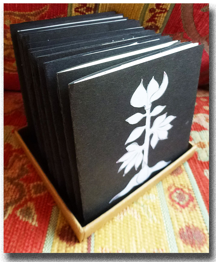 √BoxOf12Bklts