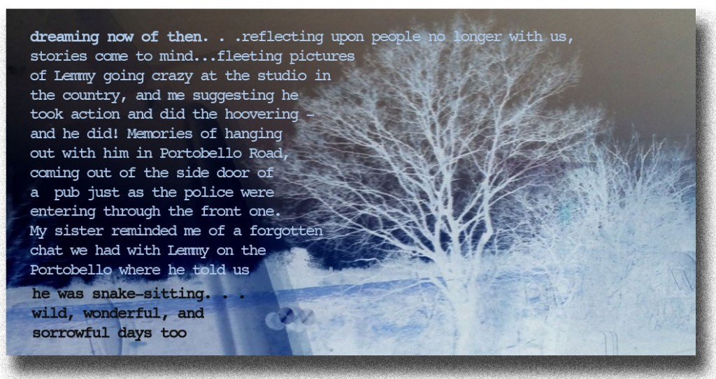 √GhostTreeNeg+Text