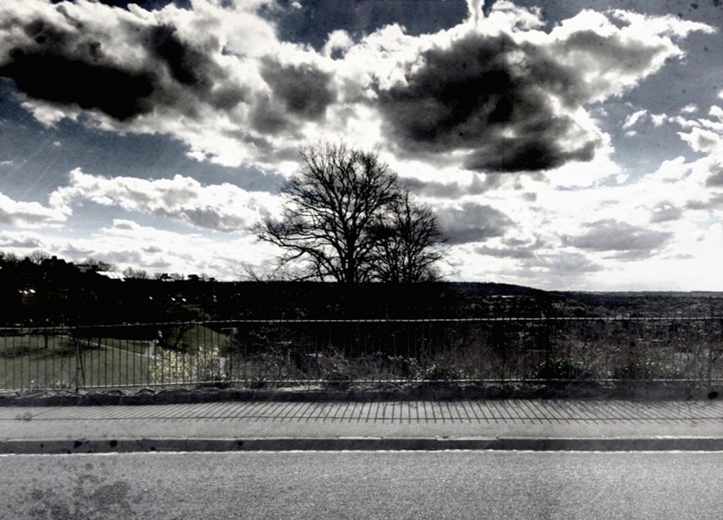 iPhoneRailsTreeSky