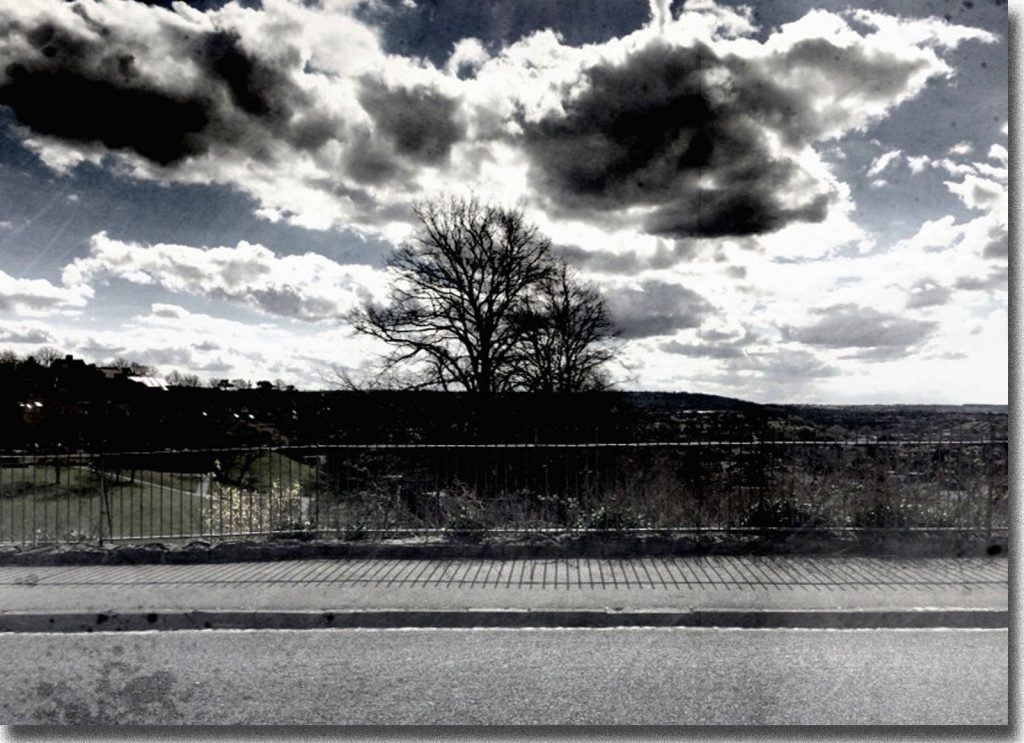 √PhoneRailsTreeSky&Shadojpg