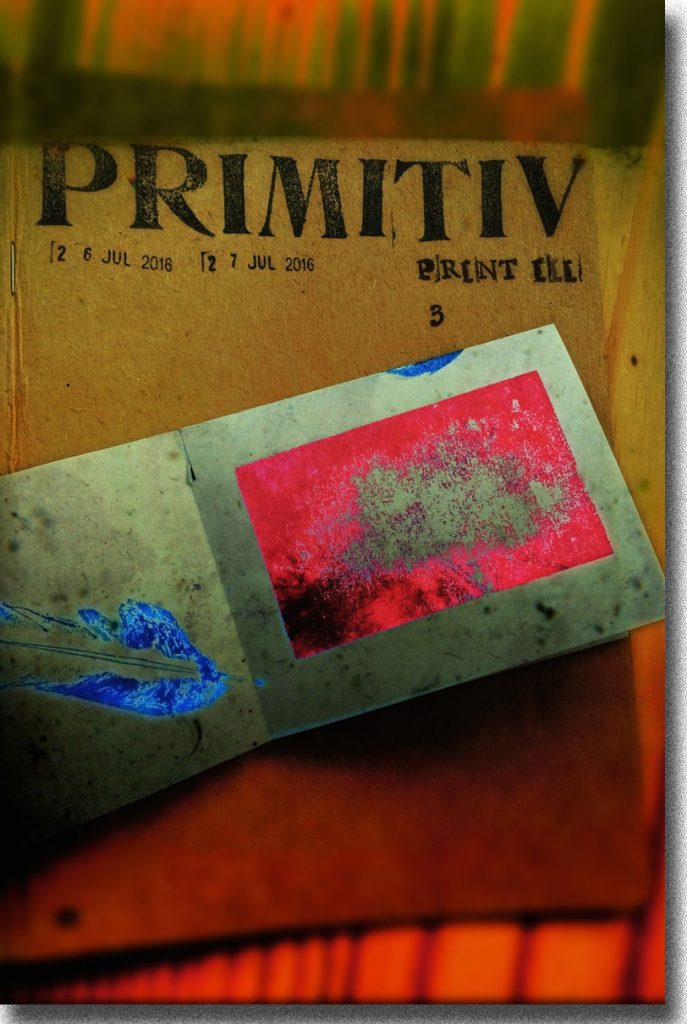 √PrimitivJournalCover