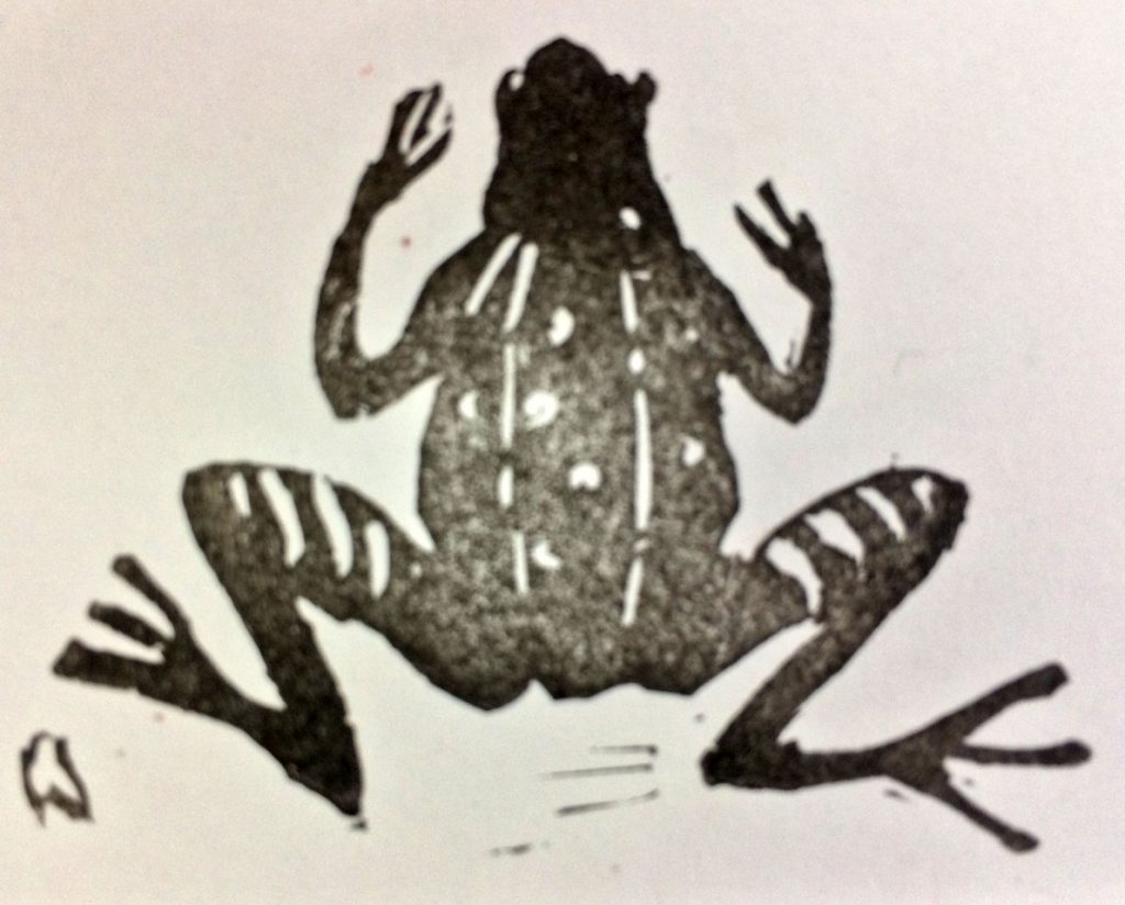 christinesrubberstmpfrog